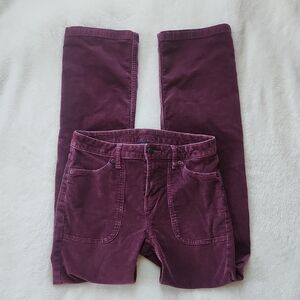 Patagonia Organic Cotton Pants in Rich Purple